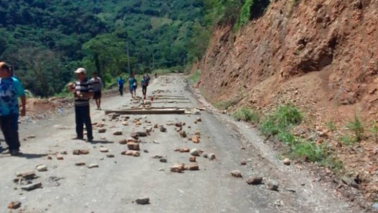 Guerra interna del MAS llega a los Yungas, tras la visita de Evo