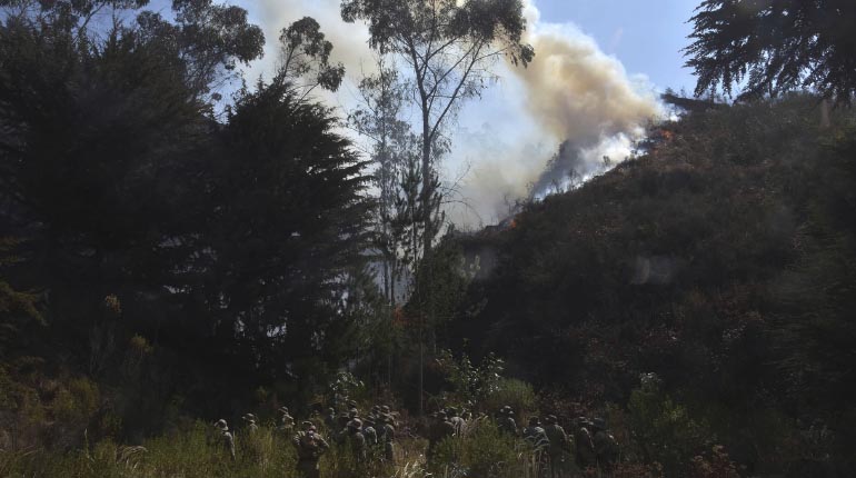 Detalles sobre el plan “Lucho contra las quemas e incendios” lanzado por el gobierno boliviano