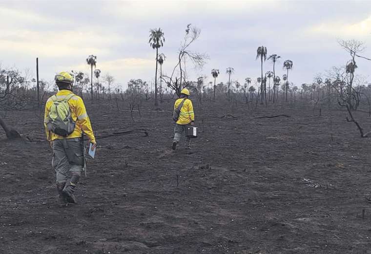 Incendios forestales han afectado a más de 180 mil hectáreas en Santa Cruz