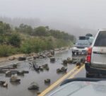 Autoridades buscan acuerdo interinstitucional contra el contrabando en El Puente