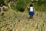 “Accesibilidad al agua y falta de conciencia en la agricultura en El Puente, Tarija”