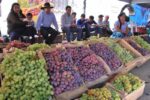 Producción de vino y singani en Tarija aumenta gracias a la mejora en la calidad