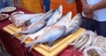 Conozca los precios de pescados en la feria del Mercado El Dorado