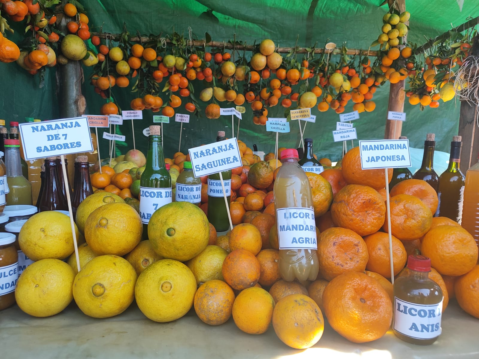 XXXIV Feria de la Naranja y sus Derivados en Padcaya