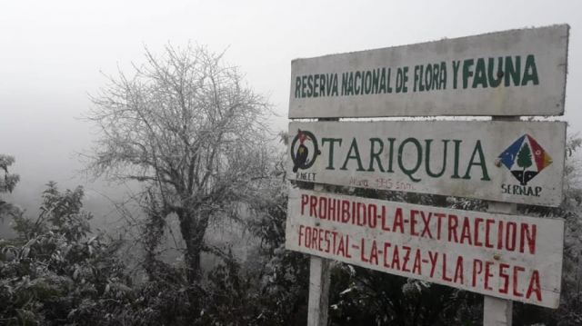 Comunarios descartan referéndum por Tariquía