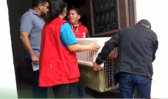 Inspección en vivienda de Tarija por denuncia de maltrato animal