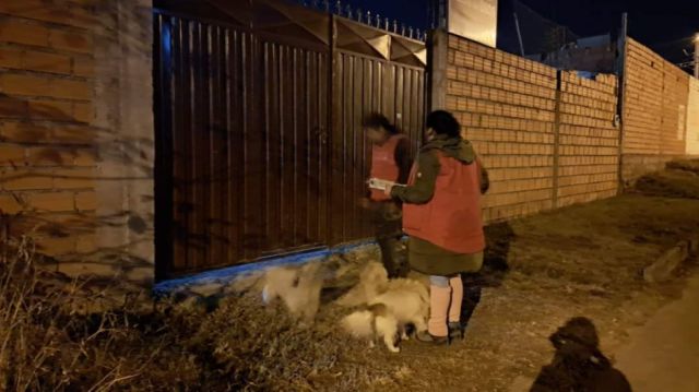 Alcaldía de Tarija lleva adelante campaña de control para tenencia responsable de animales domésticos