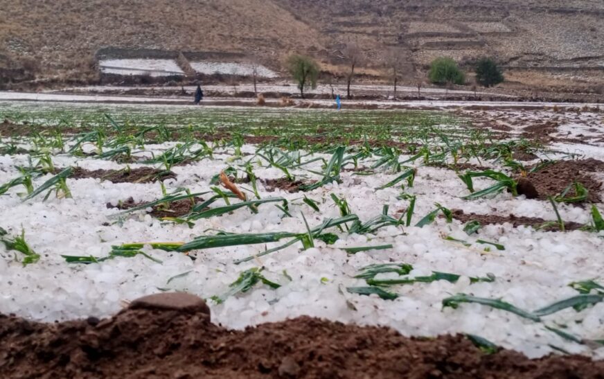 Error al generar el título