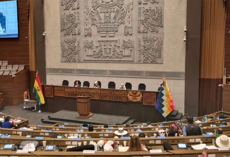 Préstamo de 75 Millones de Dólares Genera Controversia en Cámara de Diputados: Apoyo y Críticas al Gobierno de Bolivia
