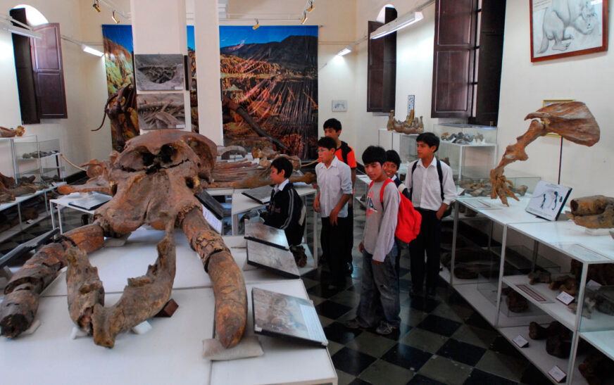 Renovaciones en el Museo Paleontológico de Tarija: Atraerán 200 Visitantes Diarios Durante las Vacaciones