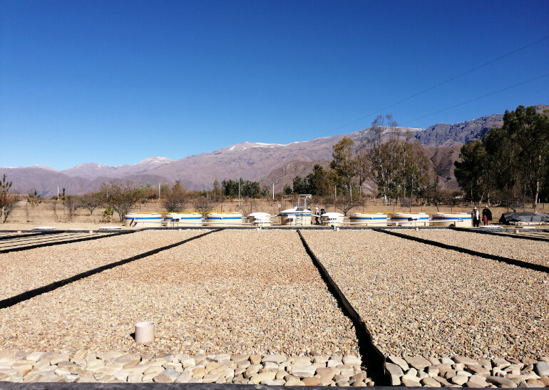 Gabriela Panique Alerta sobre la Falta de Avances en la Macro Planta de Tratamiento de Aguas Residuales en Tarija