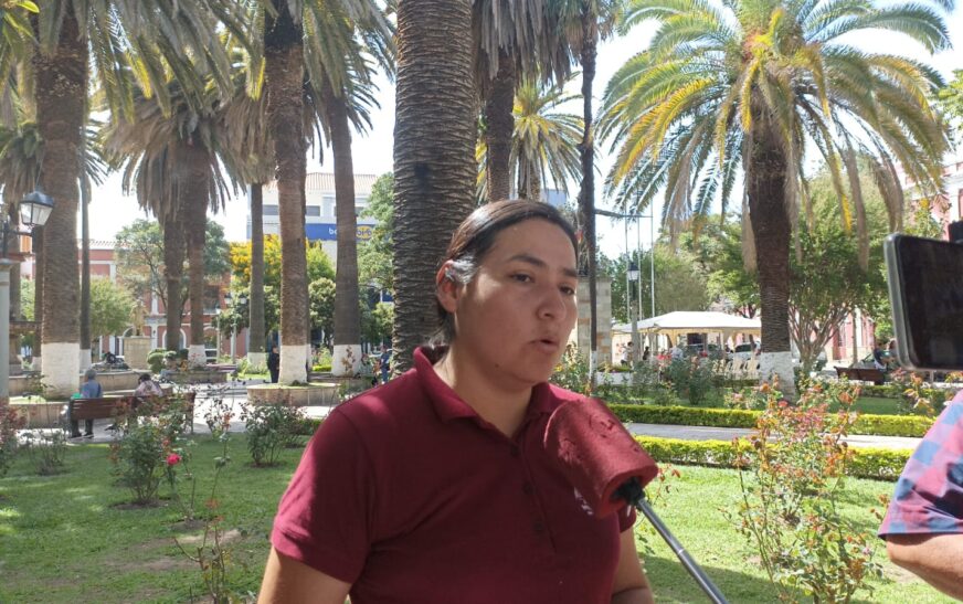 Propuesta en Tarija: Concejala Busca Regular el Precio del Pan ante Aumento Injustificado