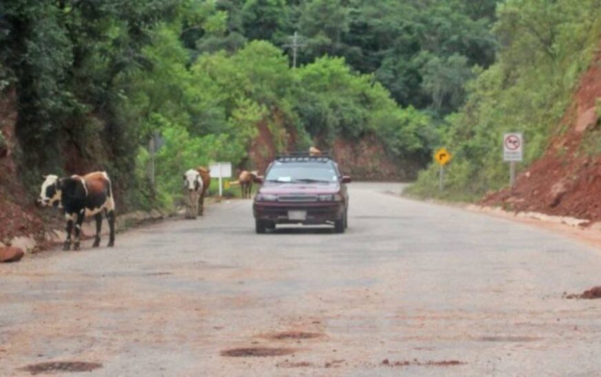 Problemas por Lluvias: Transportistas Exigen Reparaciones Urgentes en Carretera al Chaco