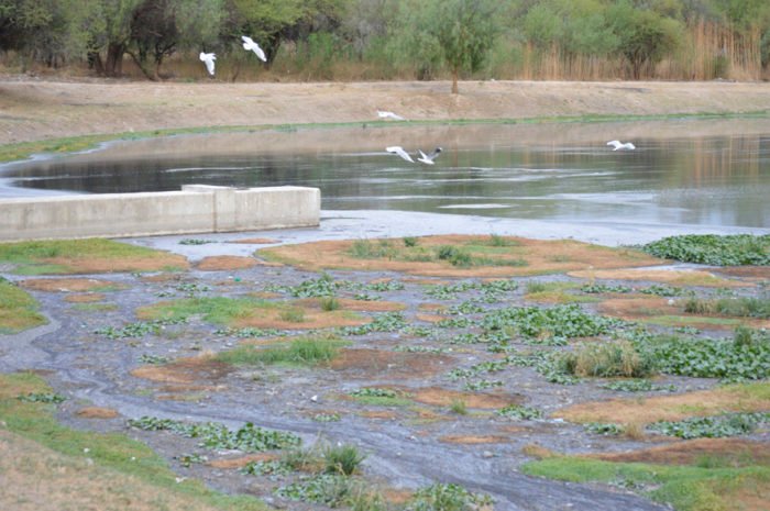 Barrio San Luis Urge Información sobre Limpieza de Lagunas de Oxidación y Soluciones para Aguas Residuales