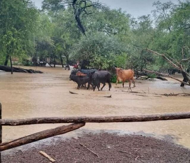 Inundaciones en Villa Montes: El río Pilcomayo desborda y causa estragos en viviendas y comunidades