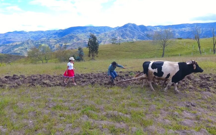 Tensión en la FSUCCT: Desvinculación de Líderes Campesinos Amenaza la Producción Agrícola en Tarija