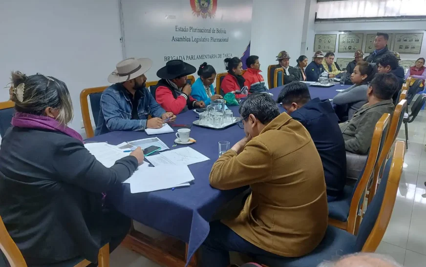 Vicepresidenta Busca Destrabar Renovación en Brigada Parlamentaria de Tarija