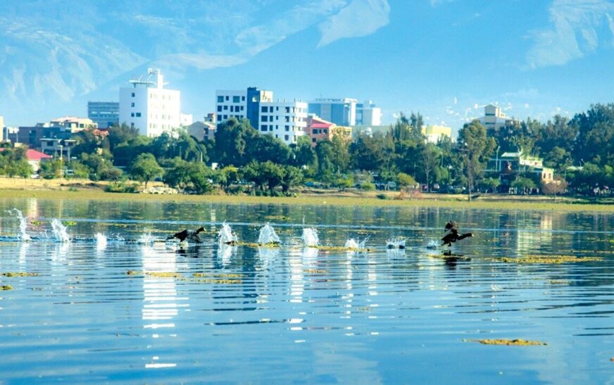 Laguna Alalay en Cochabamba: Favorable estado ecológico