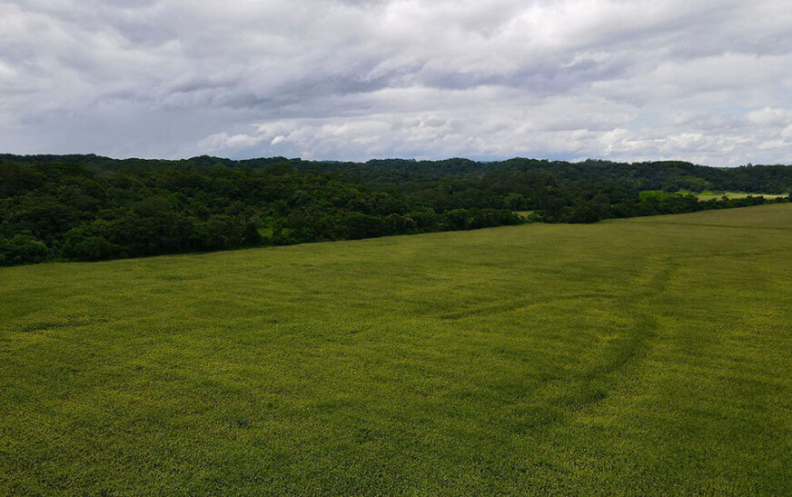 Controversia ambiental y permisos rápidos en predio de hijo de Arce en Santa Cruz