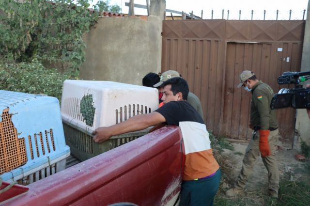 Tarija: Zoonosis investiga muerte de mujer y situación de sus perros