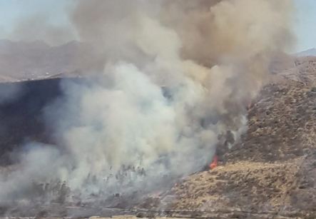 Tarija bajo alerta por primeros incendios forestales de la temporada seca