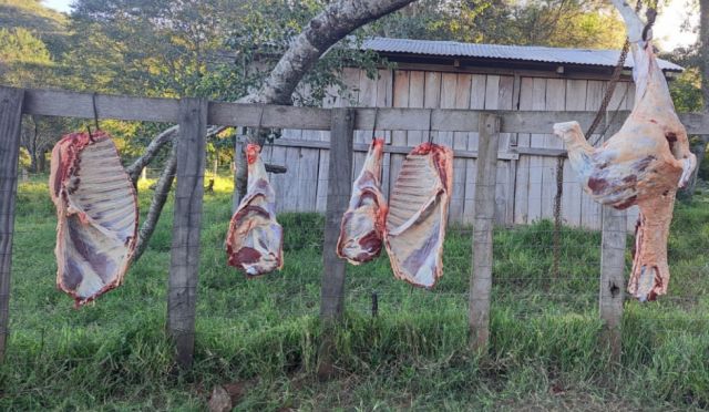 Tarija Carne cara genera preocupación y sospechas de contrabando