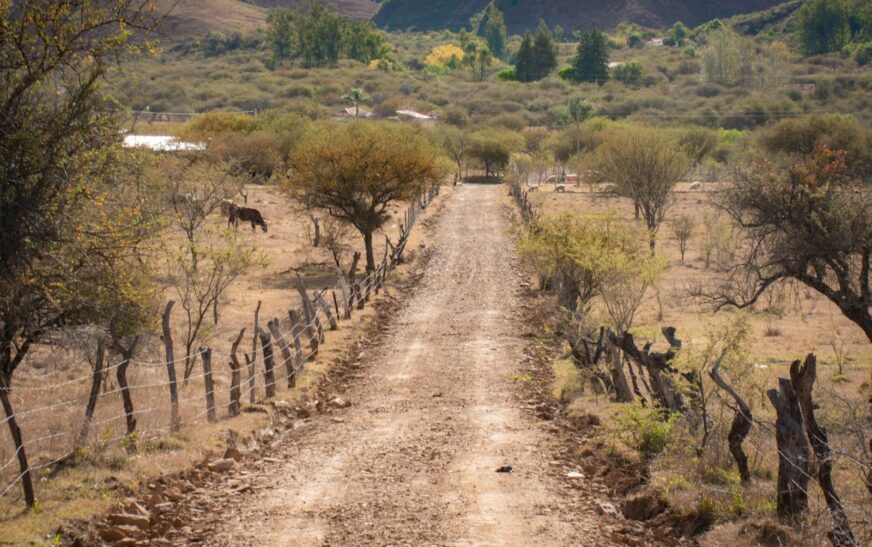 Pampa Redonda, Tarija: Mejoran 17 km de caminos clave para producción