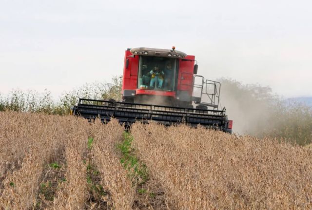 Seragro Caraparí Inicia Cosecha de Soya y Maíz para Apoyar Productores