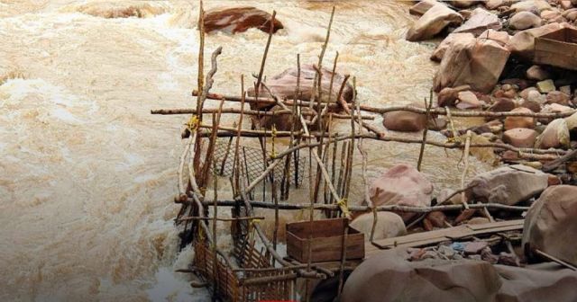 Pesca ilegal en el Pilcomayo: Miles de peces extraídos cada noche con métodos prohibidos