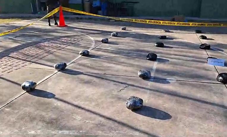 Decomisan más de 48 kilos de drogas y miles de pastillas psicotrópicas en operativos