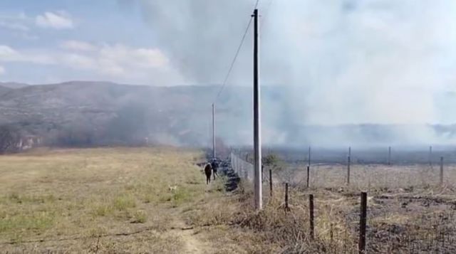 Incendio en Tarija: Brigadas combaten nuevo foco ígneo tras jornada de cinco focos controlados