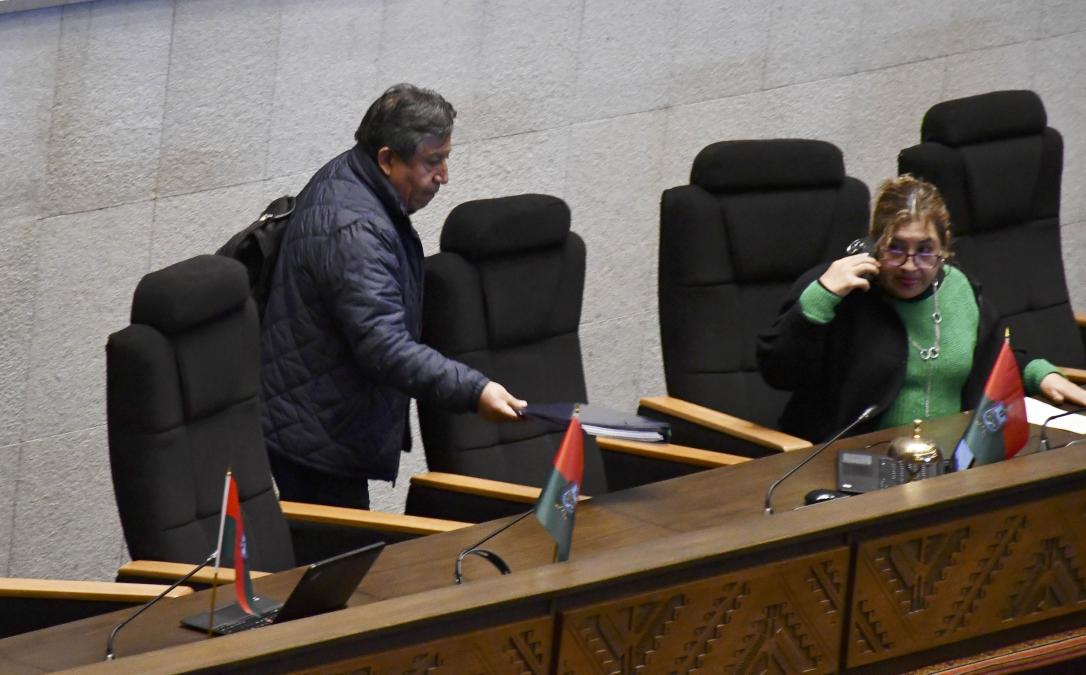 Parálisis legislativa: Discrepancias por el litio y créditos frenan la Asamblea Plurinacional