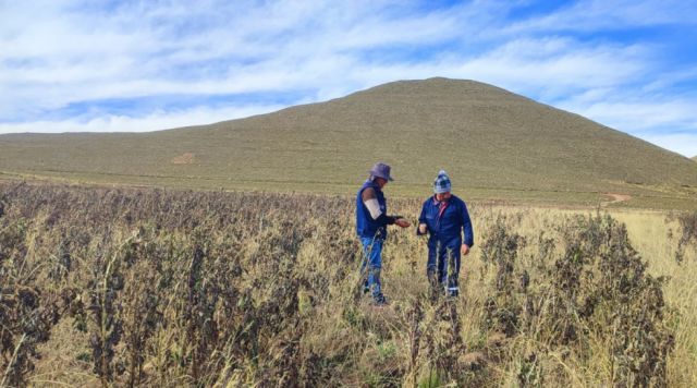 Yunchará pierde habitantes y se acerca a la fusión por baja población