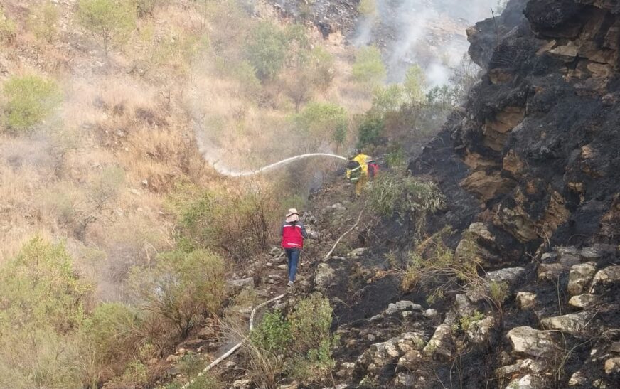 Incendio forestal en Tarija exige máxima movilización de la alcaldía con cisternas y personal de apoyo