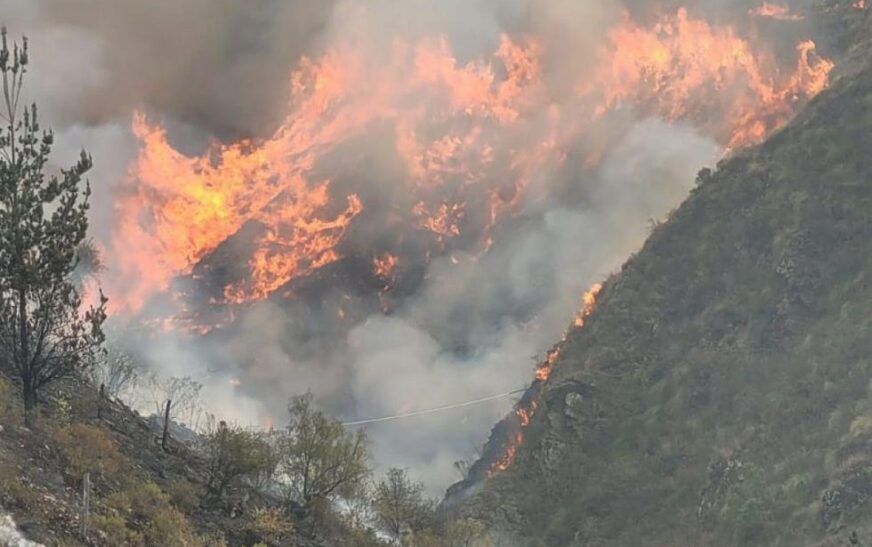 Autoridades de Tarija controlan el 80% del incendio en Sama y mueven cuartel de operaciones