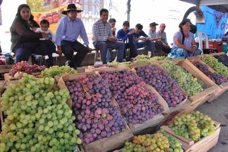 Vitivinicultores de Tarija Anuncian Expectativas de Cambios Económicos y Tributarios del Nuevo Gobierno