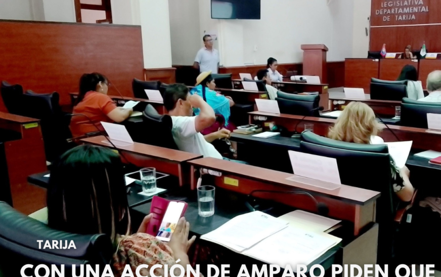 Asambleístas Departamentales Enfrentan Amparo y Exigen Pérdida de Mandato