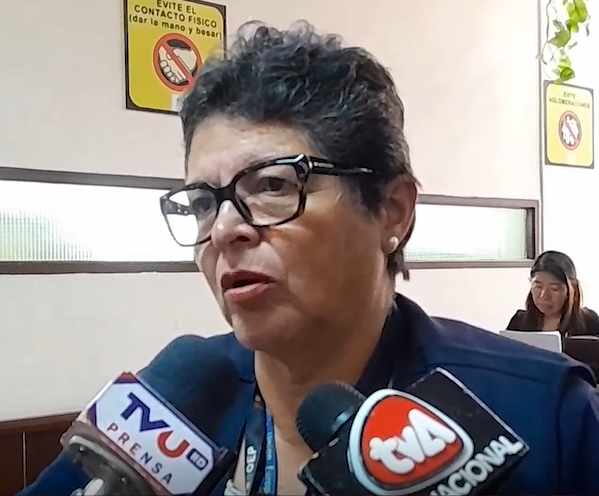Observadores de la Unión Europea supervisarán elecciones en Tarija