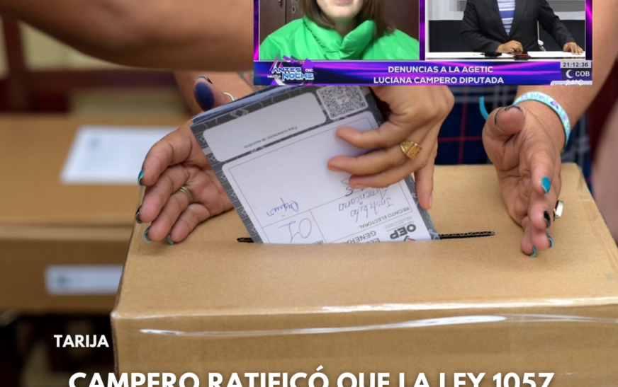 Diputada Confirma Ley Otorga a Agetic Acceso a Servidores TSE