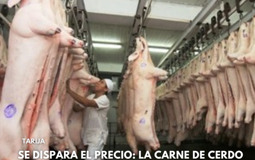 Aumento del precio de la carne de cerdo en Tarija impacta el bolsillo del consumidor