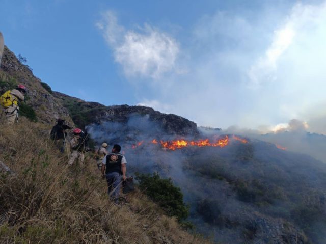 Aprueban Ley de Quemas Controladas para Prevenir Incendios Forestales