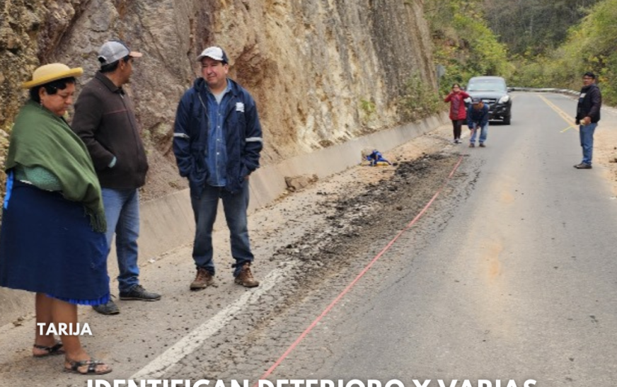 Deficiencias Reveladas Proyecto Vial Caraparí Agua Blanca Impacto y Soluciones Inmediatas