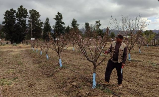 Sedag impulse la creación de parcelas agrícolas para potenciar el desarrollo rural