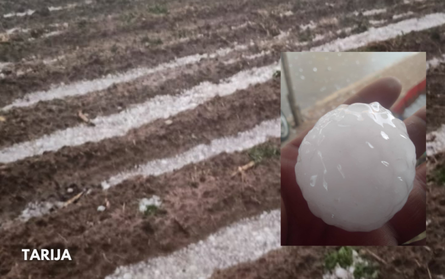 Granizo tamaño huevo causa daños significativos en la región reportan autoridades