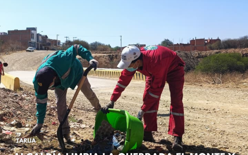 Alcaldía de [Nombre de la Ciudad] lidera jornada de limpieza en quebradas El Monte y San Pedro previniendo inundaciones futuras