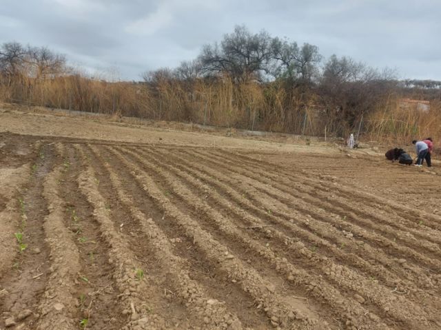 Lluvias Torrenciales Reviven Campos Secos Alivio Inesperado para Tarija tras Largo Periodo de Sequía