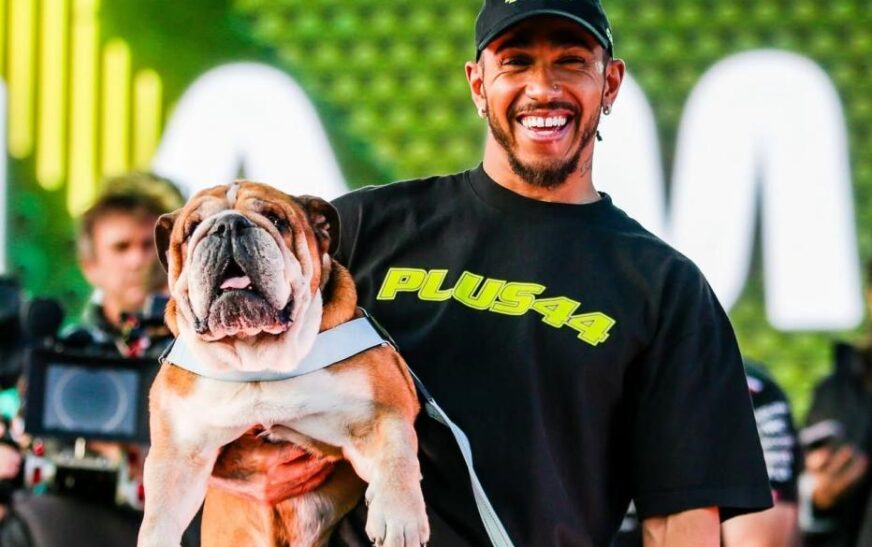 Roscoe el bulldog de Hamilton fallece dejando un gran vacío en la Fórmula 1