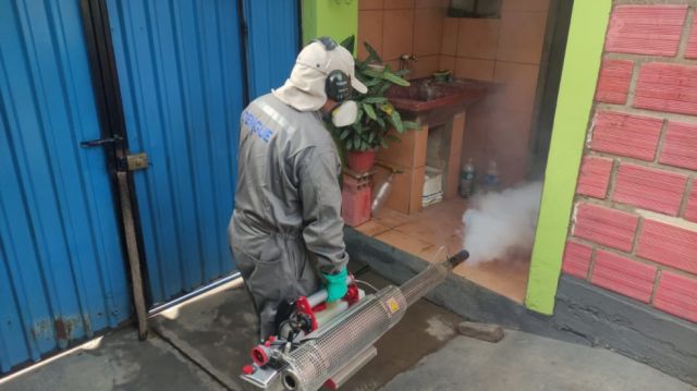 Temporada de lluvias Tarija alerta por aumento de casos de dengue