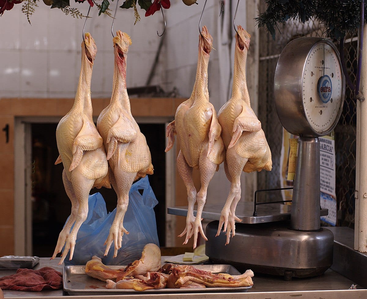 Suben precios del pollo y huevo por mayor costo del maíz