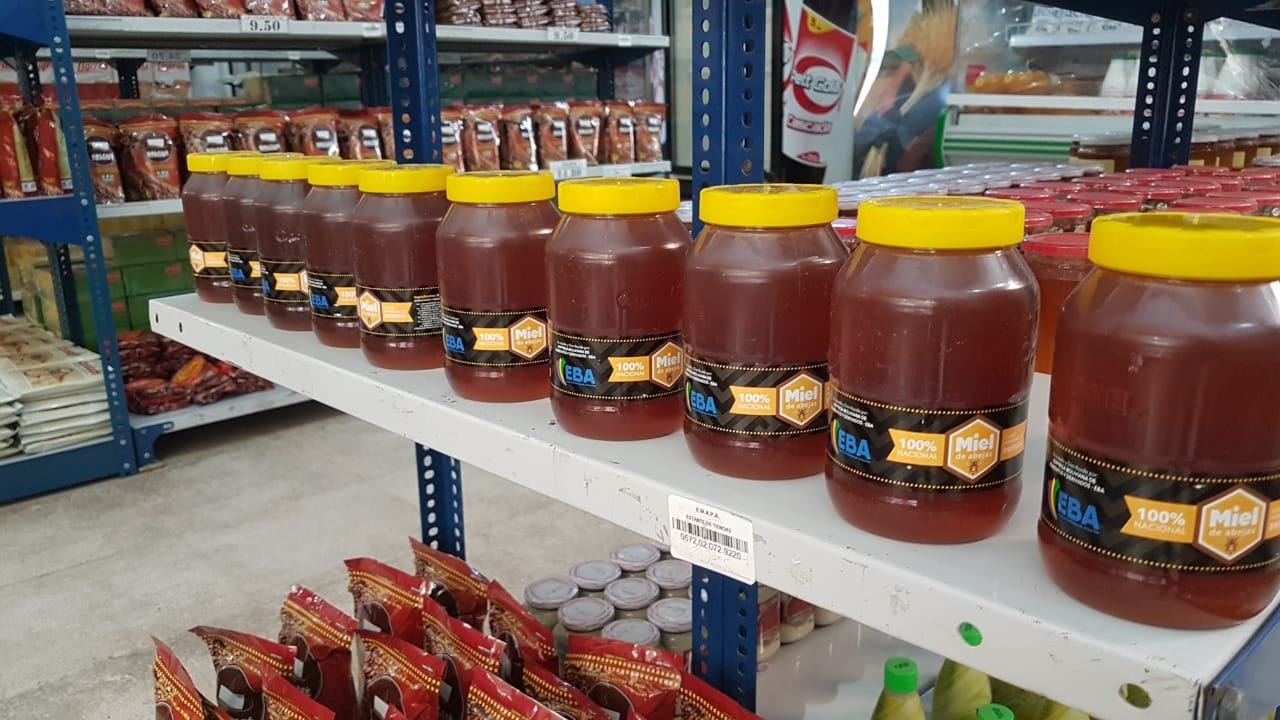 Tarija Miel Crisis Apícola 80% Producción a EBA Incertidumbre Cambio Autoridades